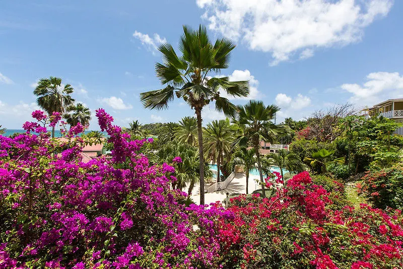 **** Rezort Pineapple Beach Club (Adults Only) Long Bay Antigua a Barbuda